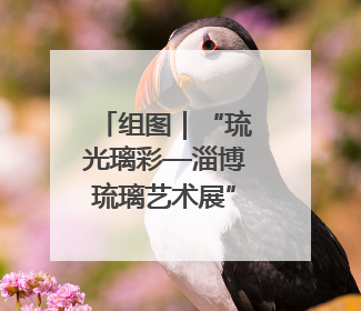 组图｜“琉光璃彩—淄博琉璃艺术展”今日国博启幕 千年窑火绽放京城