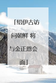 绍伊古访问朝鲜 将与金正恩会面