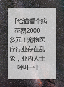 给猫看个病花费2000多元！宠物医疗行业存在乱象，业内人士呼吁→