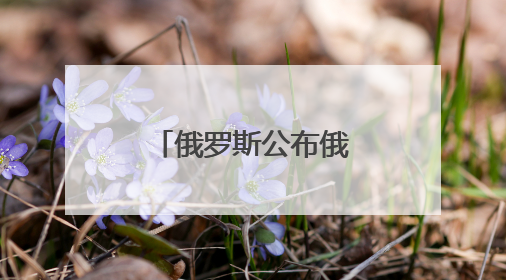俄罗斯公布俄乌停火备忘录