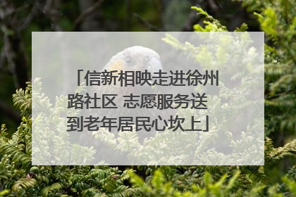 信新相映走进徐州路社区 志愿服务送到老年居民心坎上