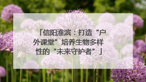 信阳淮滨：打造“户外课堂”培养生物多样性的“未来守护者”