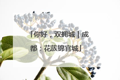 你好，双拥城｜成都：花簇锦官城