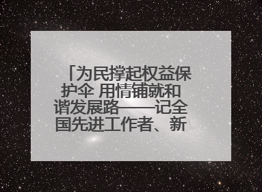 为民撑起权益保护伞 用情铺就和谐发展路——记全国先进工作者、新区项目建设中心干部卢小勇