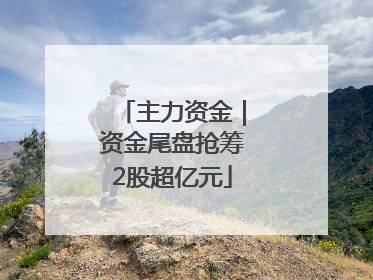 主力资金｜资金尾盘抢筹2股超亿元