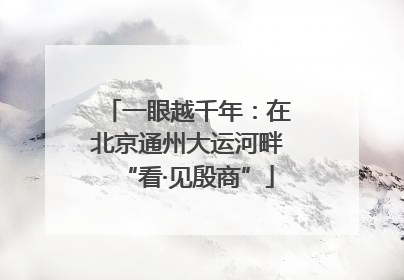 一眼越千年：在北京通州大运河畔“看·见殷商”