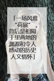 一场风雅“荷展”，背后是相隔千里两地的渊源和令人感动的历史人文情怀