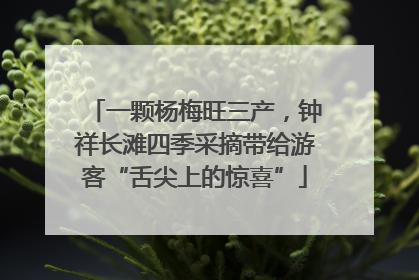 一颗杨梅旺三产，钟祥长滩四季采摘带给游客“舌尖上的惊喜”