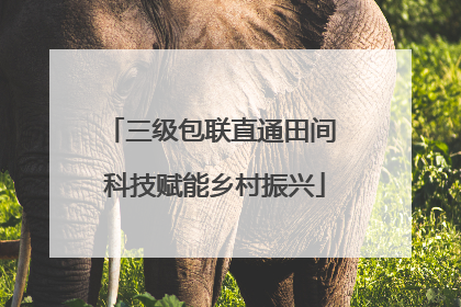 三级包联直通田间 科技赋能乡村振兴