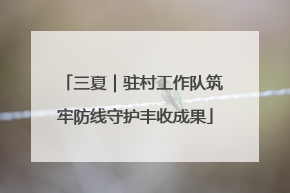 三夏｜驻村工作队筑牢防线守护丰收成果