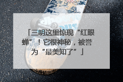 三明这里惊现“红眼蝉”！它很神秘，被誉为“最美知了”