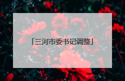 三河市委书记调整