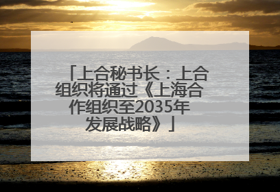 上合秘书长：上合组织将通过《上海合作组织至2035年发展战略》
