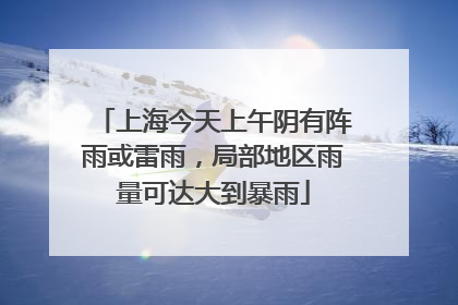 上海今天上午阴有阵雨或雷雨，局部地区雨量可达大到暴雨