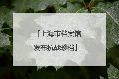 上海市档案馆发布抗战珍档