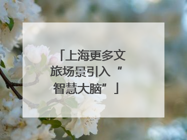 上海更多文旅场景引入“智慧大脑”