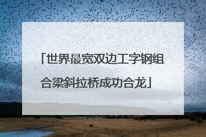 世界最宽双边工字钢组合梁斜拉桥成功合龙
