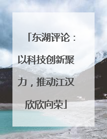 东湖评论：以科技创新聚力，推动江汉欣欣向荣