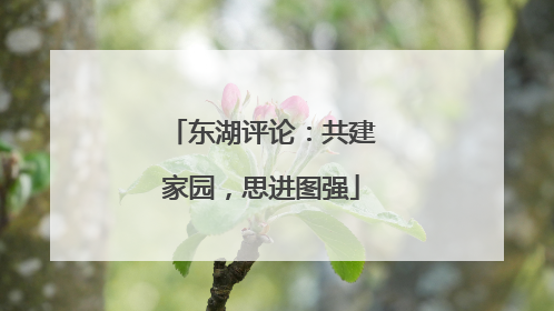 东湖评论：共建家园，思进图强