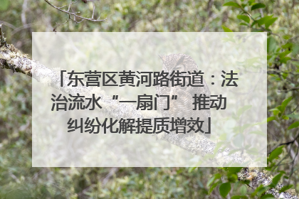 东营区黄河路街道：法治流水“一扇门” 推动纠纷化解提质增效