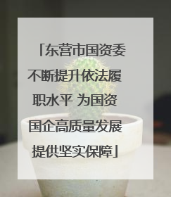东营市国资委不断提升依法履职水平 为国资国企高质量发展提供坚实保障