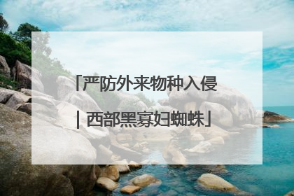 严防外来物种入侵｜西部黑寡妇蜘蛛