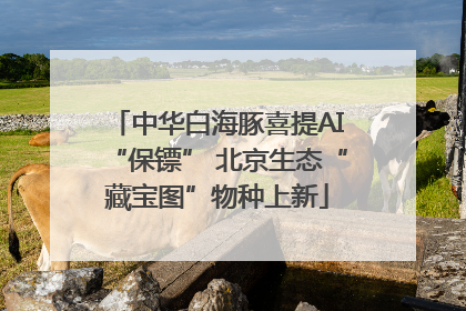 中华白海豚喜提AI“保镖” 北京生态“藏宝图”物种上新