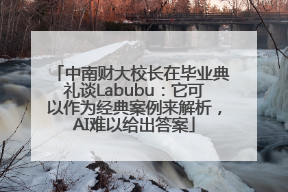 中南财大校长在毕业典礼谈Labubu：它可以作为经典案例来解析，AI难以给出答案