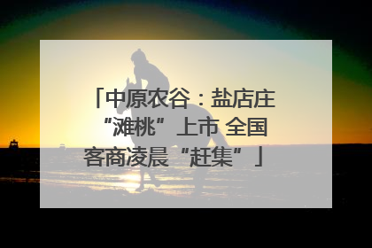 中原农谷：盐店庄“滩桃”上市 全国客商凌晨“赶集”