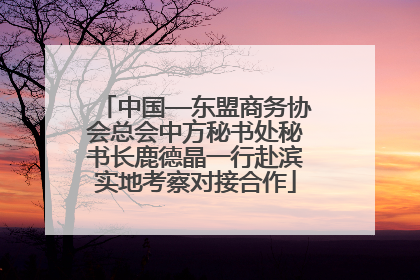 中国—东盟商务协会总会中方秘书处秘书长鹿德晶一行赴滨实地考察对接合作