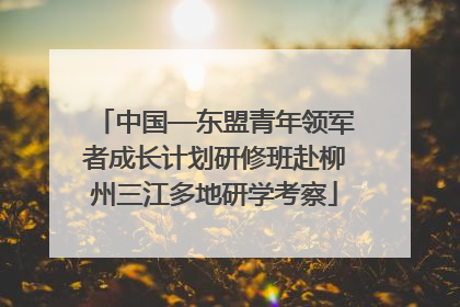中国—东盟青年领军者成长计划研修班赴柳州三江多地研学考察