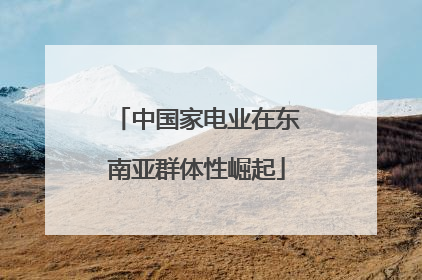 中国家电业在东南亚群体性崛起