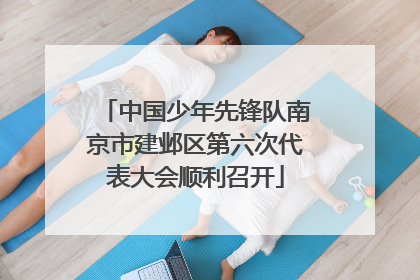 中国少年先锋队南京市建邺区第六次代表大会顺利召开