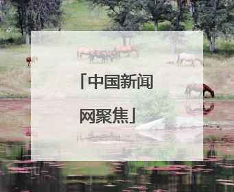 中国新闻网聚焦