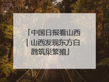 中国日报看山西｜山西发现东方白鹳筑巢繁殖