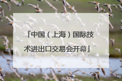 中国（上海）国际技术进出口交易会开幕