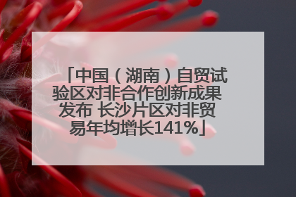 中国（湖南）自贸试验区对非合作创新成果发布 长沙片区对非贸易年均增长141%