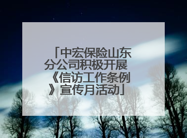 中宏保险山东分公司积极开展《信访工作条例》宣传月活动