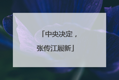 中央决定，张传江履新