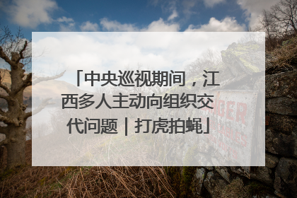 中央巡视期间，江西多人主动向组织交代问题｜打虎拍蝇
