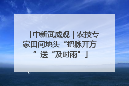 中新武威观｜农技专家田间地头“把脉开方”送“及时雨”