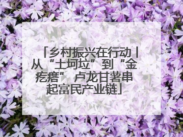 乡村振兴在行动丨从“土坷垃”到“金疙瘩” 卢龙甘薯串起富民产业链