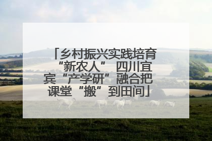 乡村振兴实践培育“新农人” 四川宜宾“产学研”融合把课堂“搬”到田间