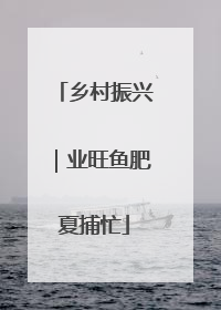乡村振兴｜业旺鱼肥夏捕忙