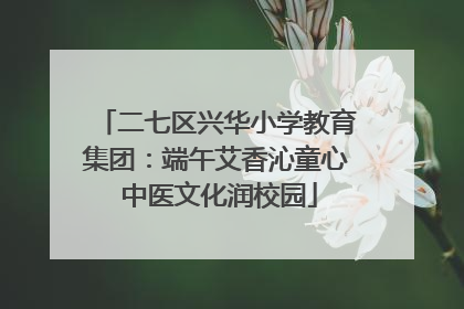 二七区兴华小学教育集团：端午艾香沁童心 中医文化润校园
