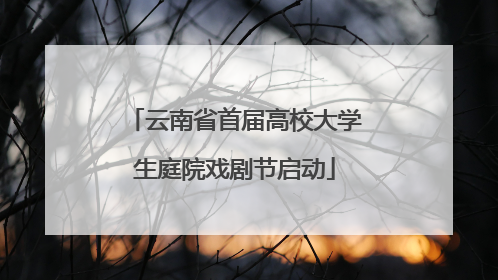 云南省首届高校大学生庭院戏剧节启动