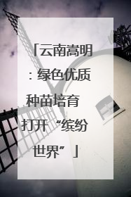 云南嵩明：绿色优质种苗培育 打开“缤纷世界”