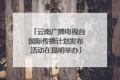云南广播电视台国际传播计划发布活动在昆明举办