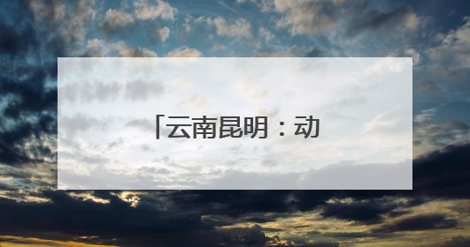 云南昆明：动车“4S店”的端午节日坚守