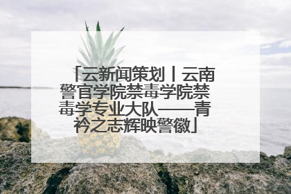云新闻策划丨云南警官学院禁毒学院禁毒学专业大队——青衿之志辉映警徽